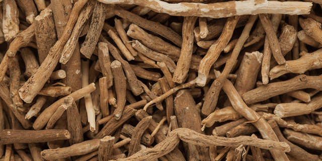 Ashwagandha, plante adaptogène, ginseng indien, Ayurveda. Bienfaits : énergie, fatigue, stress, sommeil, concentration, mémoire, focus, sommeil, anxiolytique naturel, anti-stress, anti-déprime, motivation. 