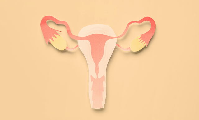 Dérèglement hormonal féminin : causes, symptômes et solutions
