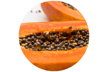 Purpause ingrédient naturel papaye belle peau nourrissant antioxydants vitamines